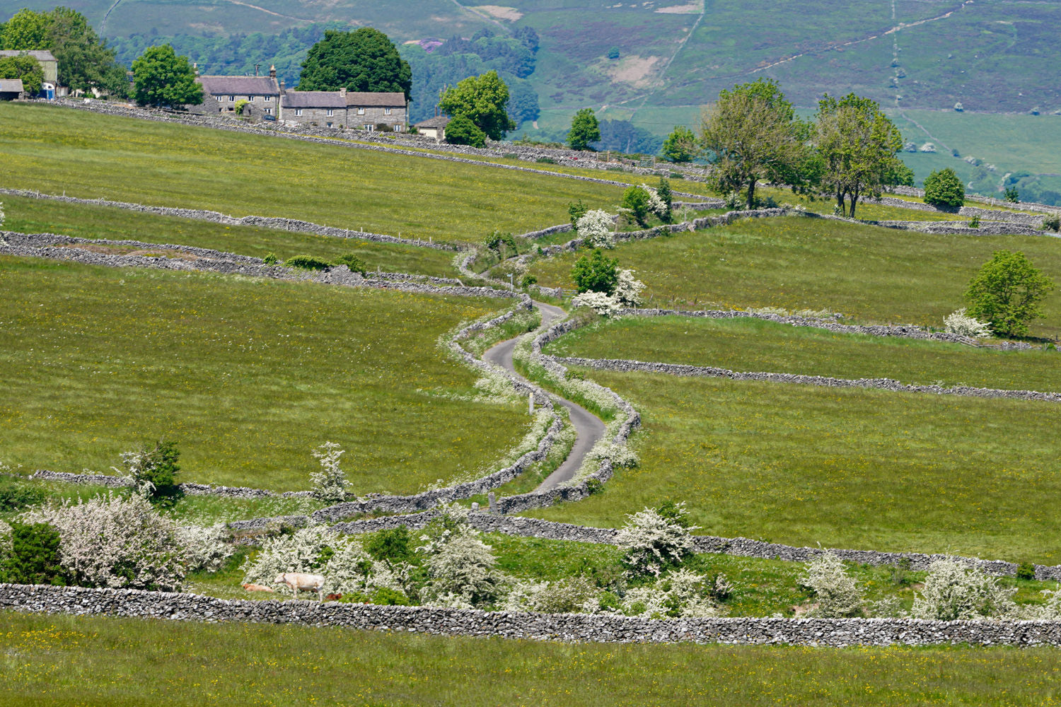 Peak District Calendar 2026