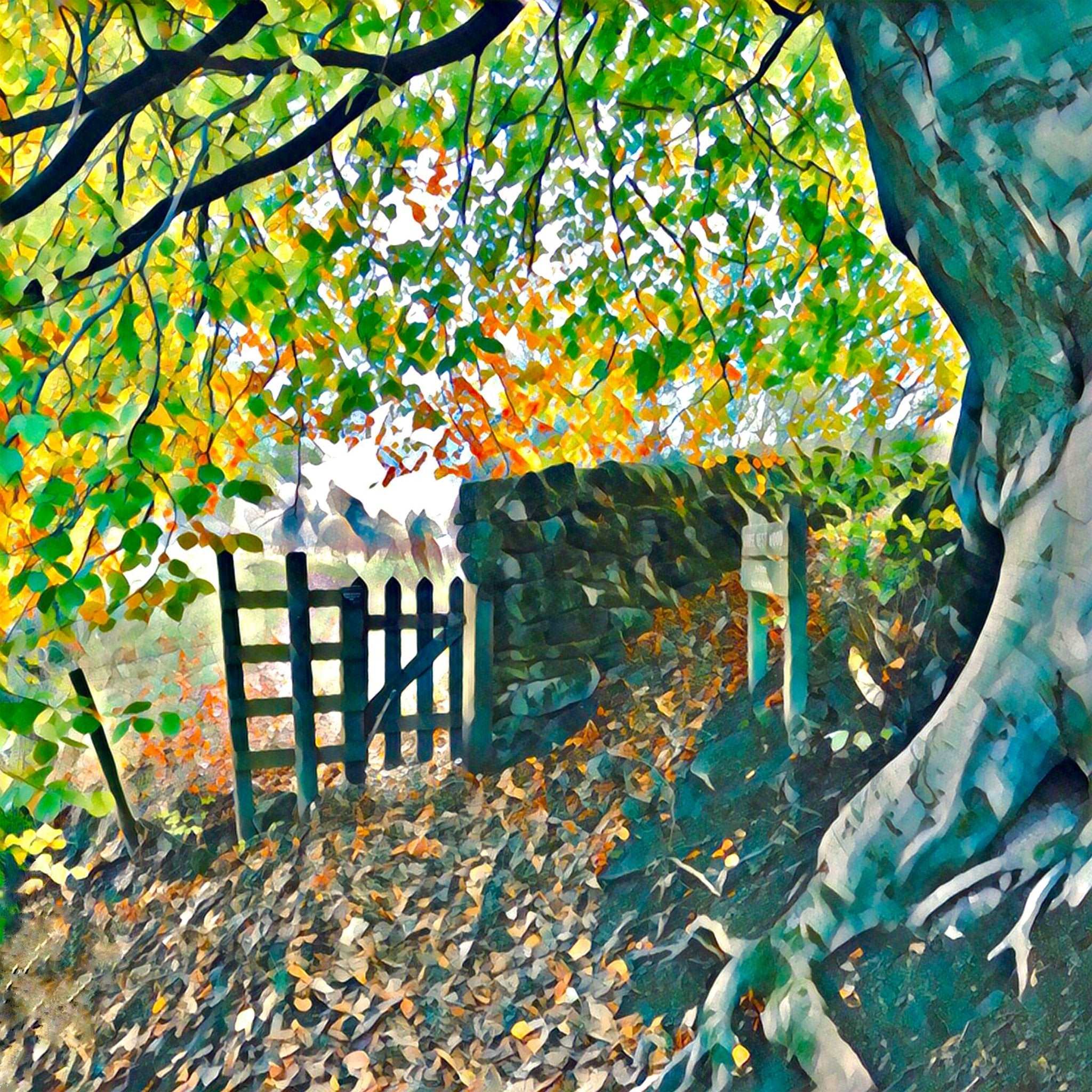 Autumn Path Art Print (10x10in Canvas) - Phil Sproson Photography