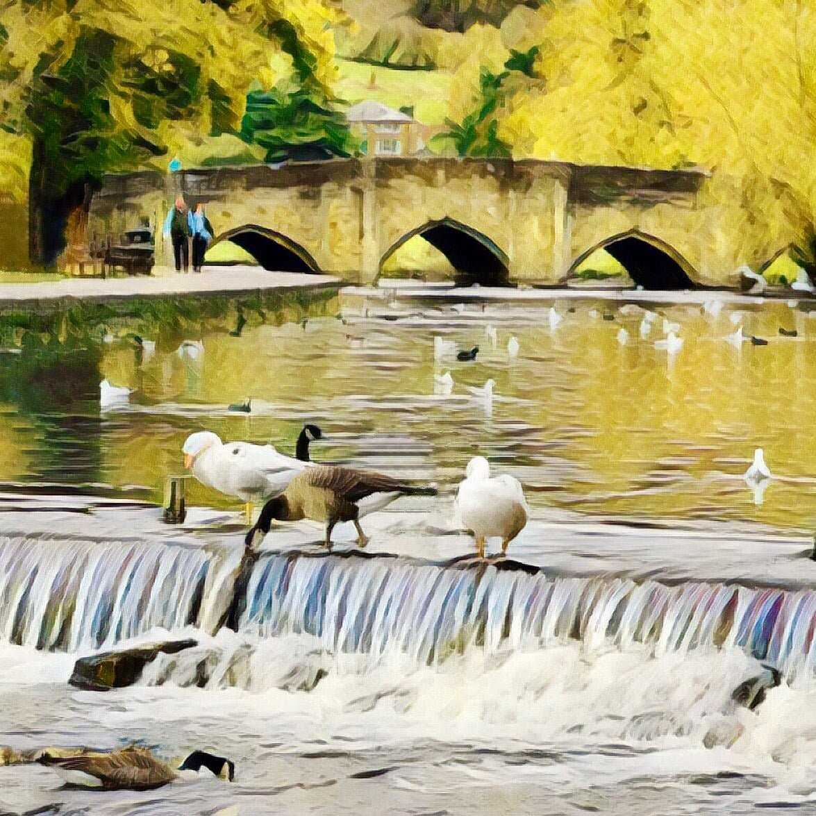 Bakewell Bridge and River Wye Art Print (10x10in Canvas) - Phil Sproson Photography