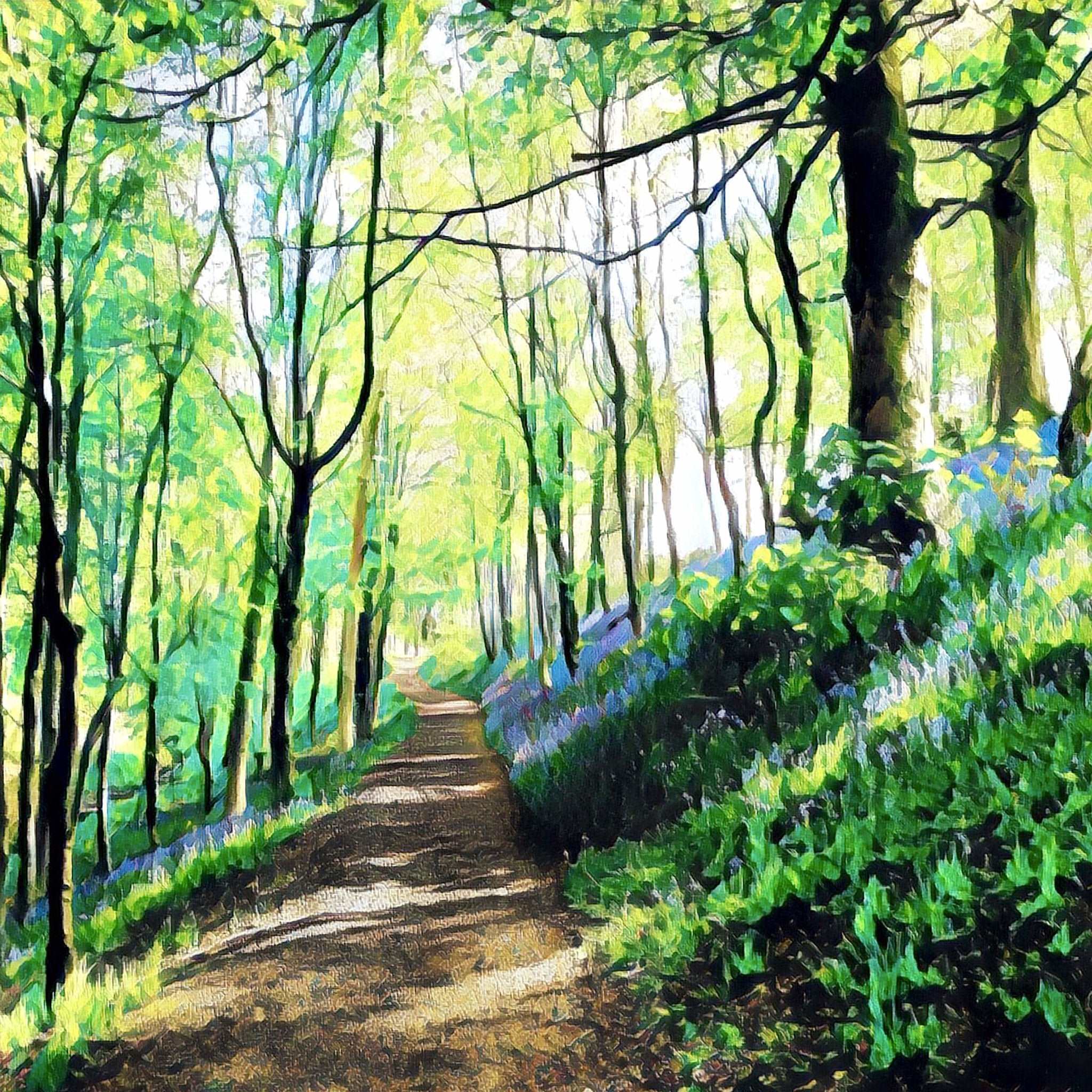 Bluebell Walk Art Print (10x10in Canvas) - Phil Sproson Photography