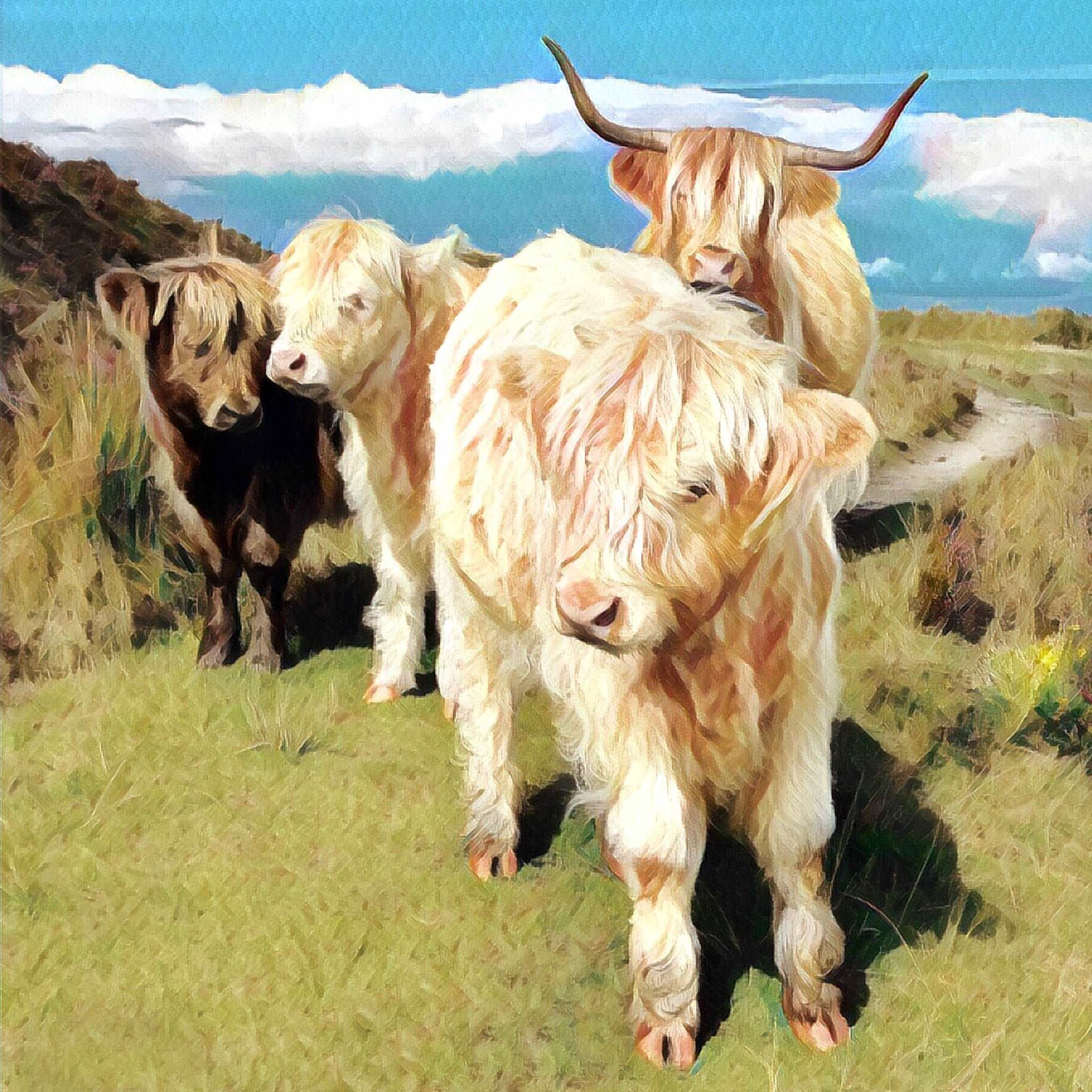 Highland Family Art Print (10x10in Canvas) - Phil Sproson Photography