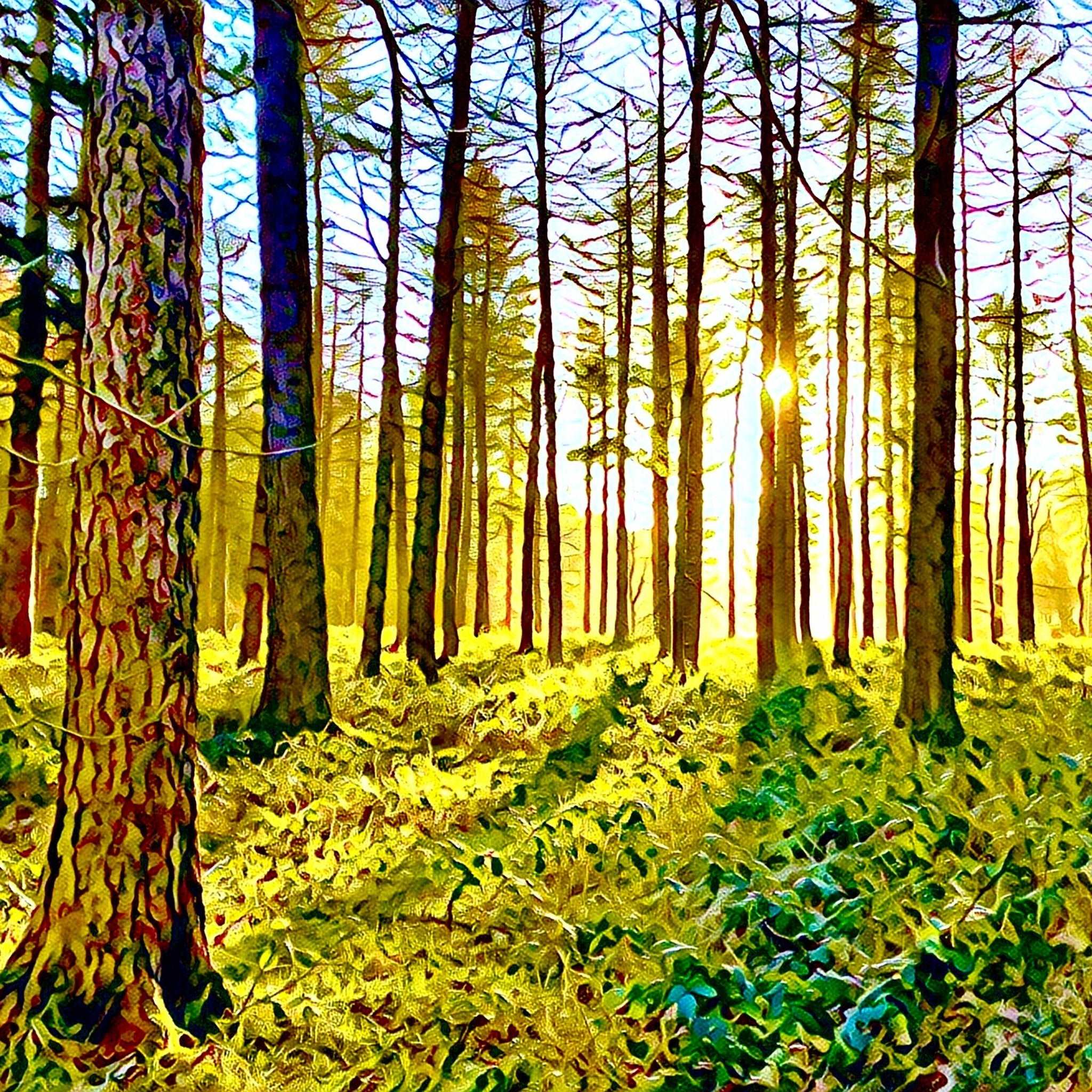 Into the Light Art Print (10x10in Canvas) - Phil Sproson Photography