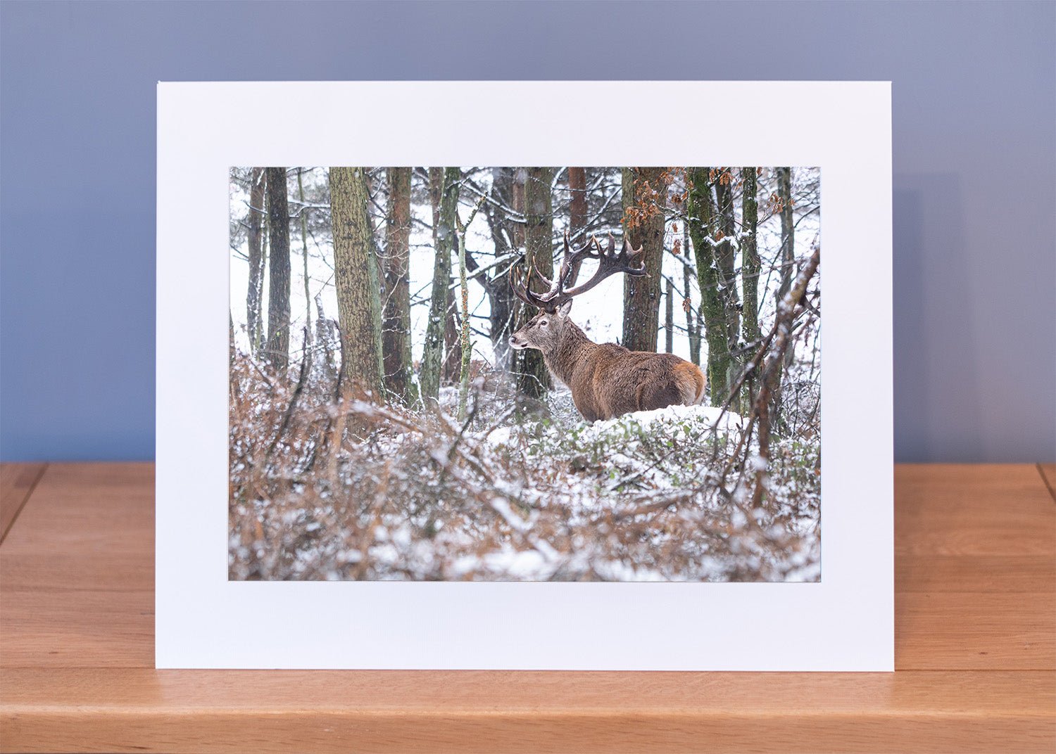 Monach of Big Moor Print - Phil Sproson Photography