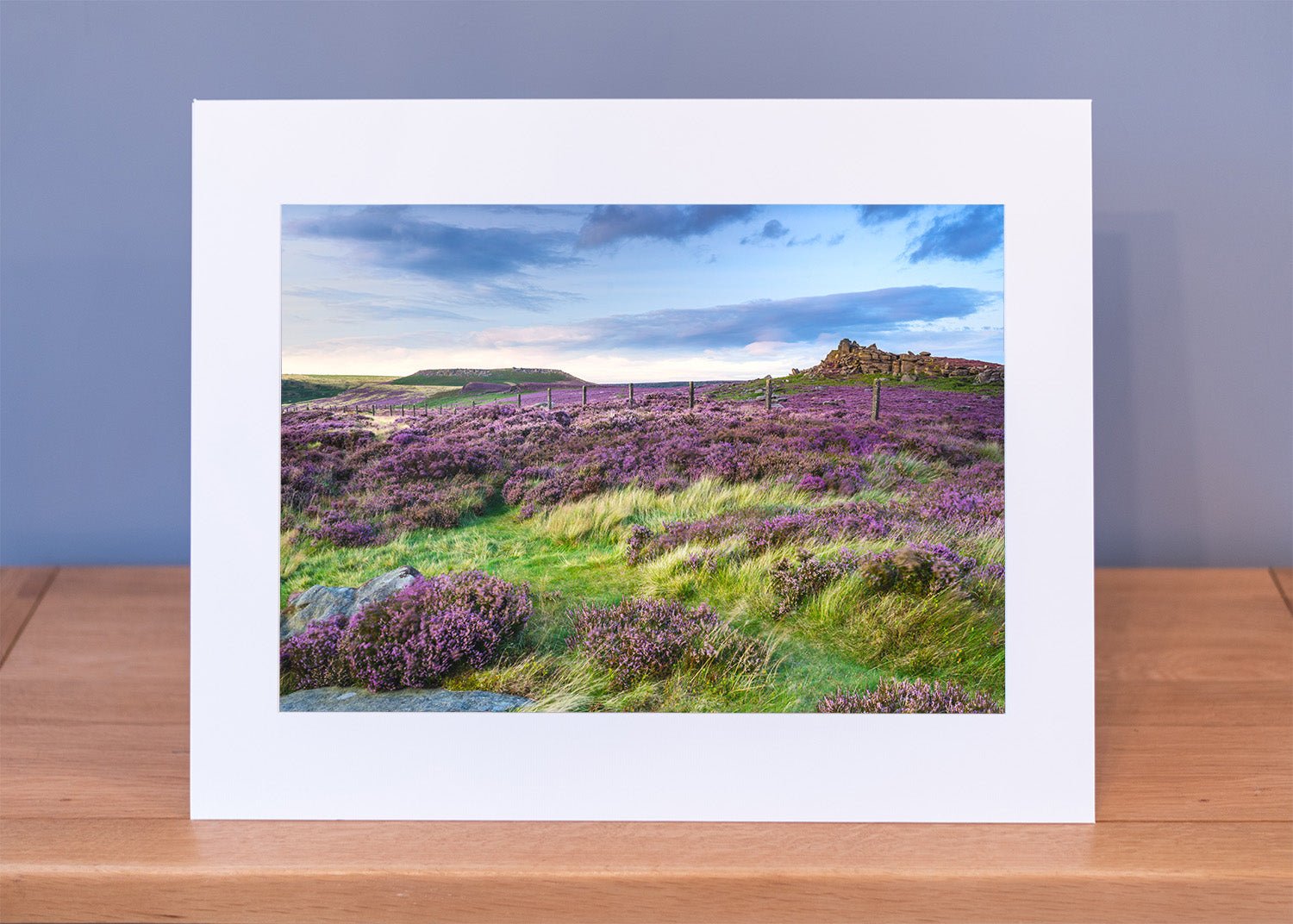 Moorland Blooming Heather Print - Phil Sproson Photography