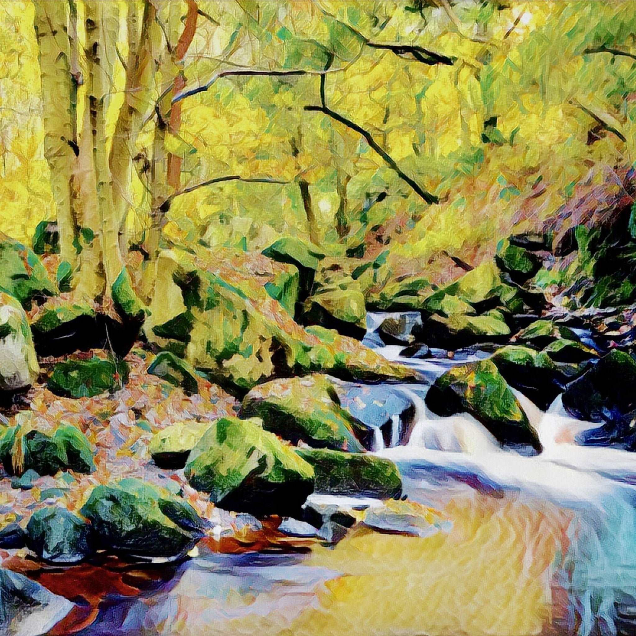 Padley Gorge Art Print (10x10in Canvas) - Phil Sproson Photography