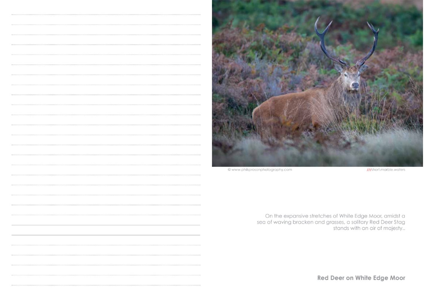 Peak District Notebook - Phil Sproson Photography