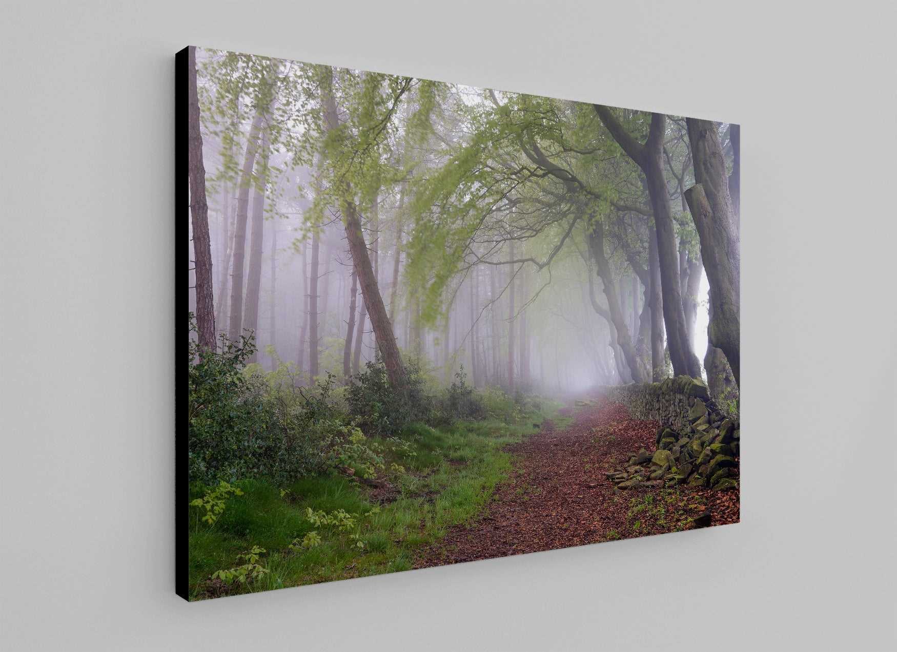 Springtime at Upper Moor - Phil Sproson Photography