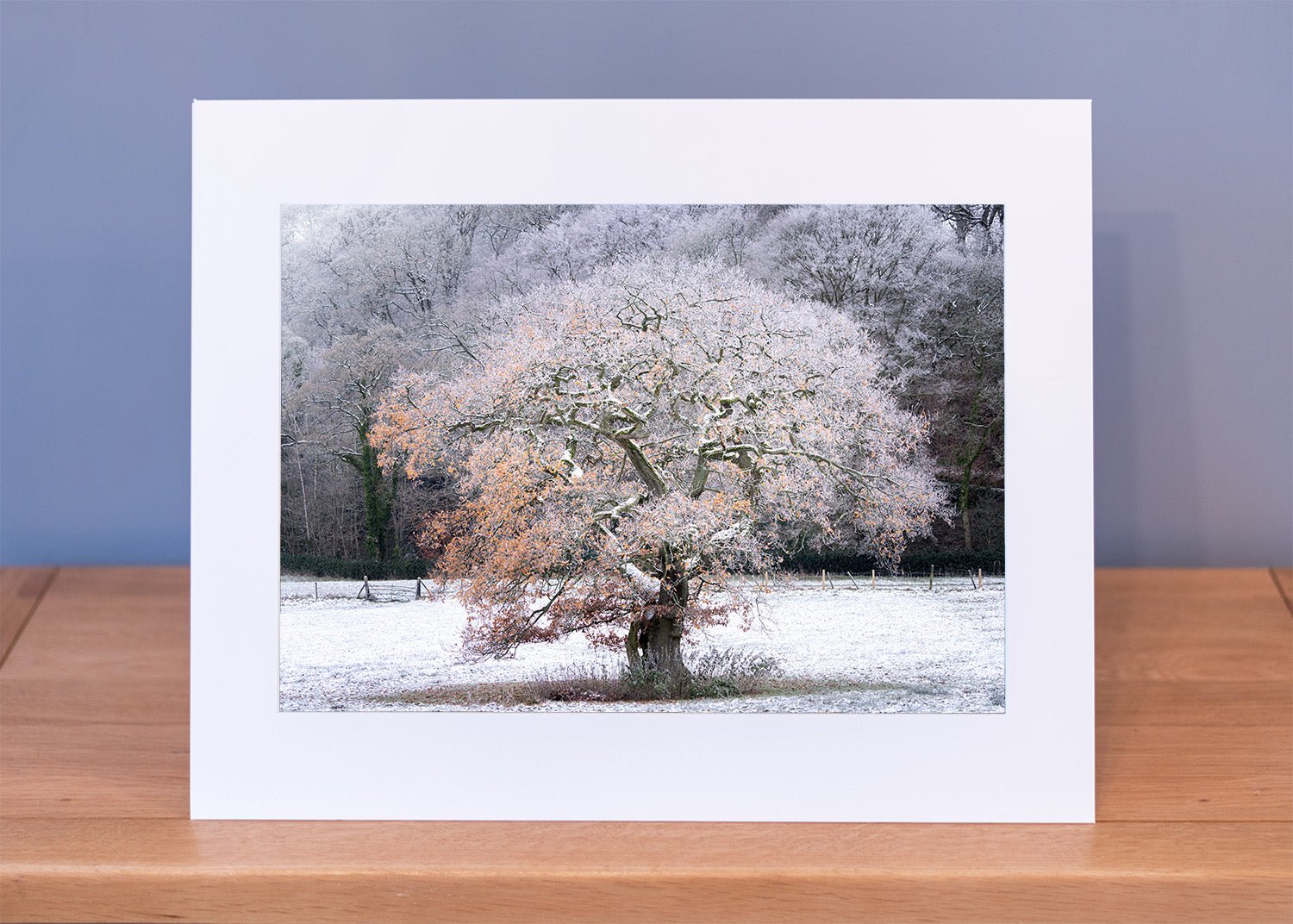 Still Standing Print - Phil Sproson Photography