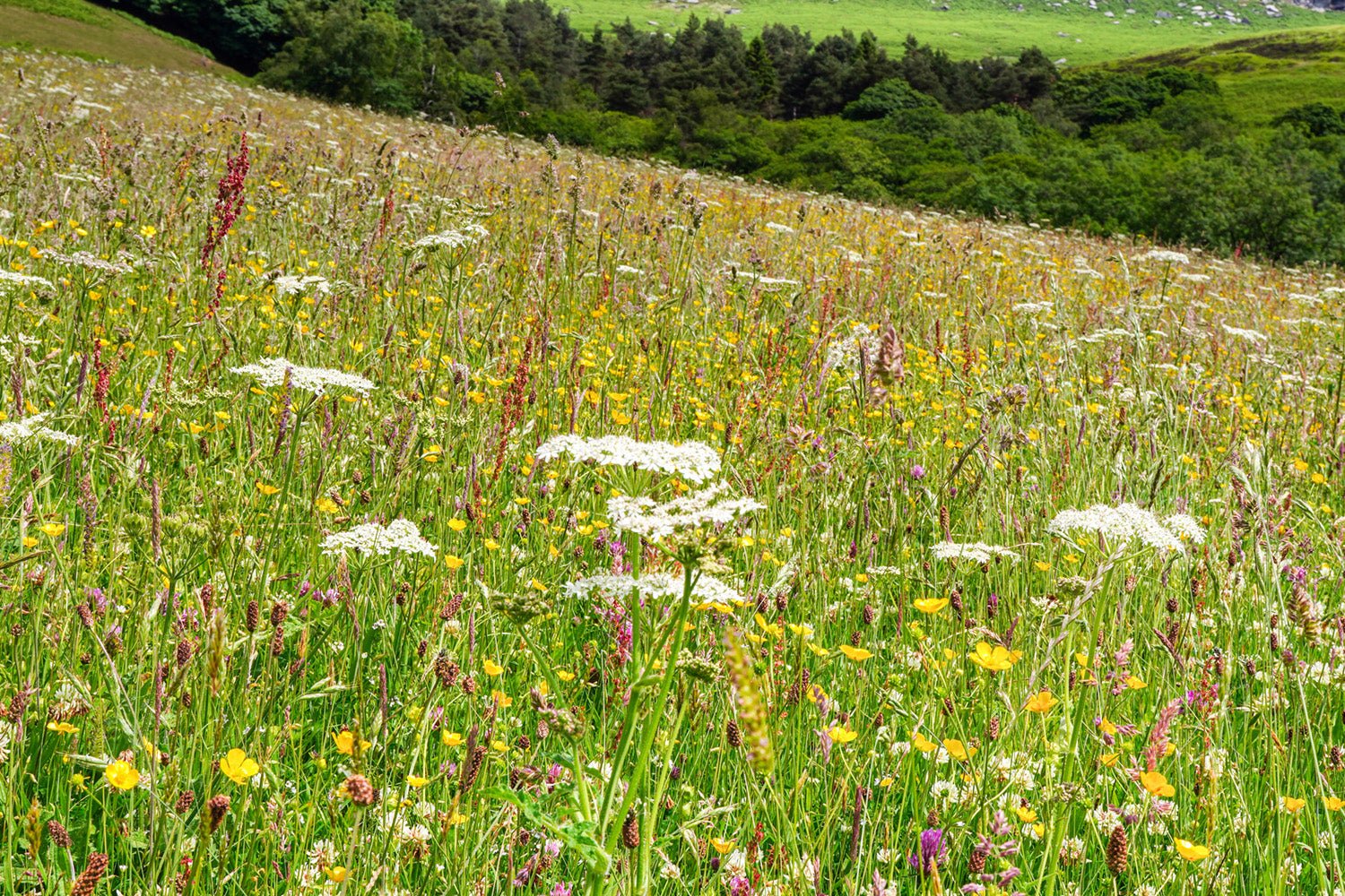 The Peak District National Park - Phil Sproson Photography