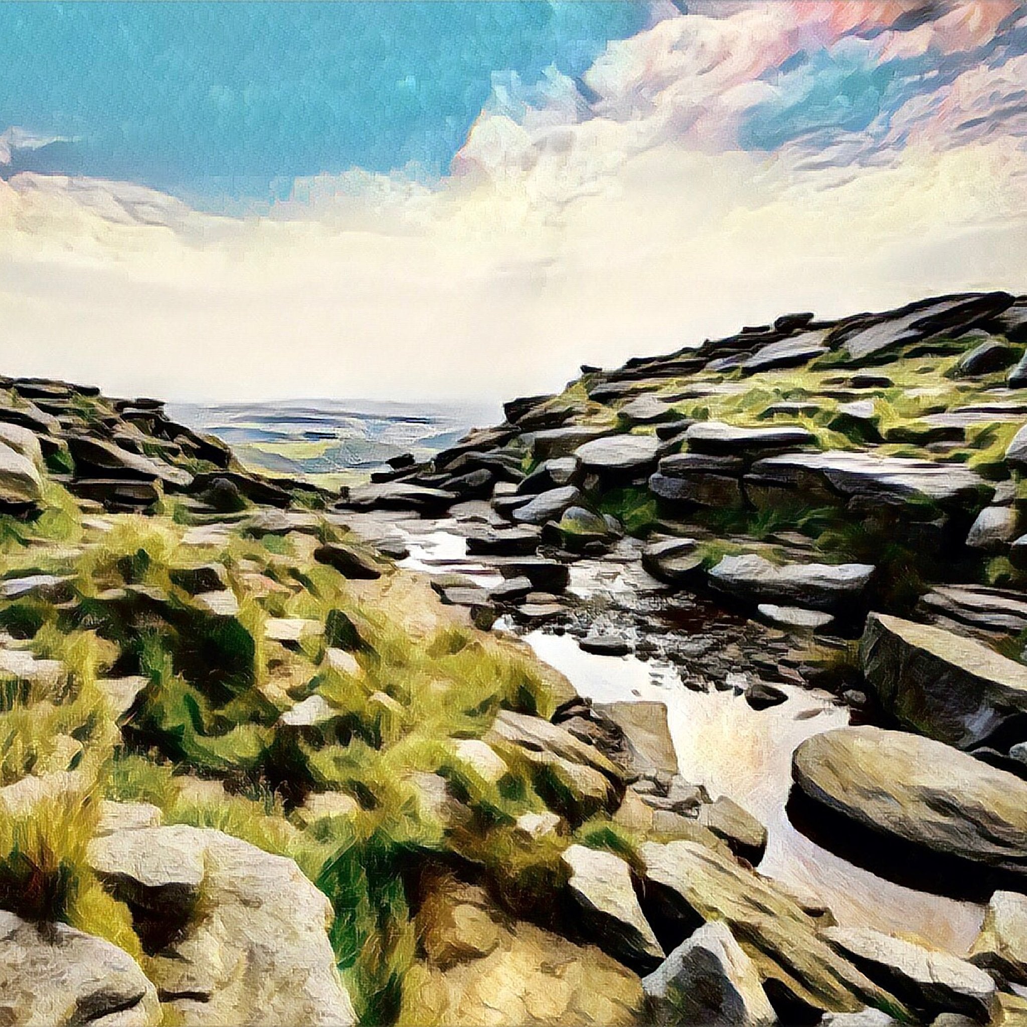 Fern Art Prints - Phil Sproson Photography