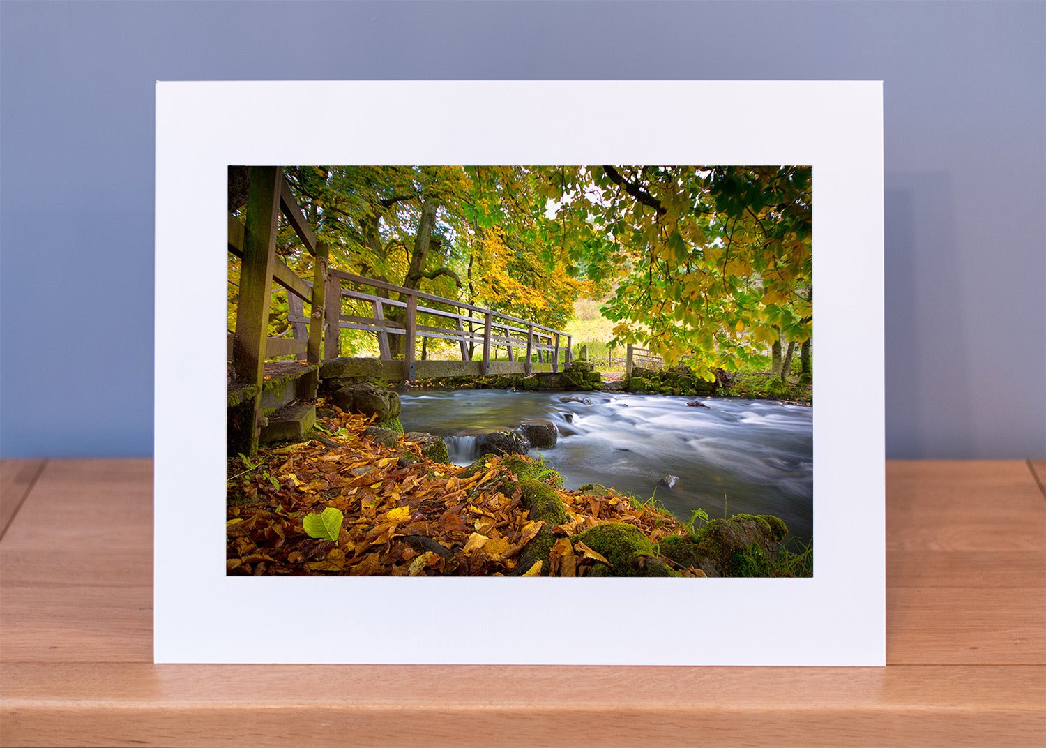 Beautiful Beresford Dale Print - Phil Sproson Photography