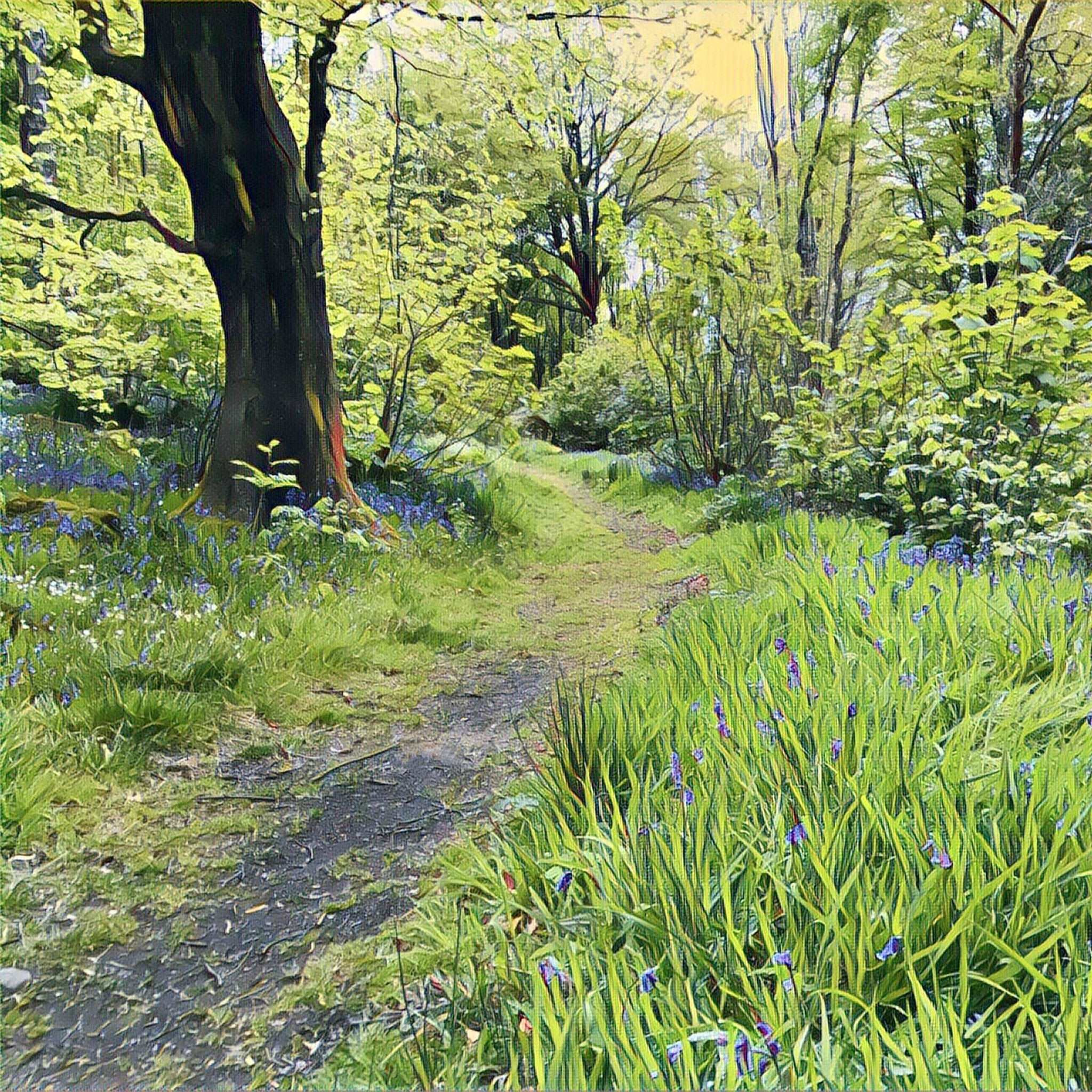 Grindleford Woods Art Print (10x10in Canvas) - Phil Sproson Photography