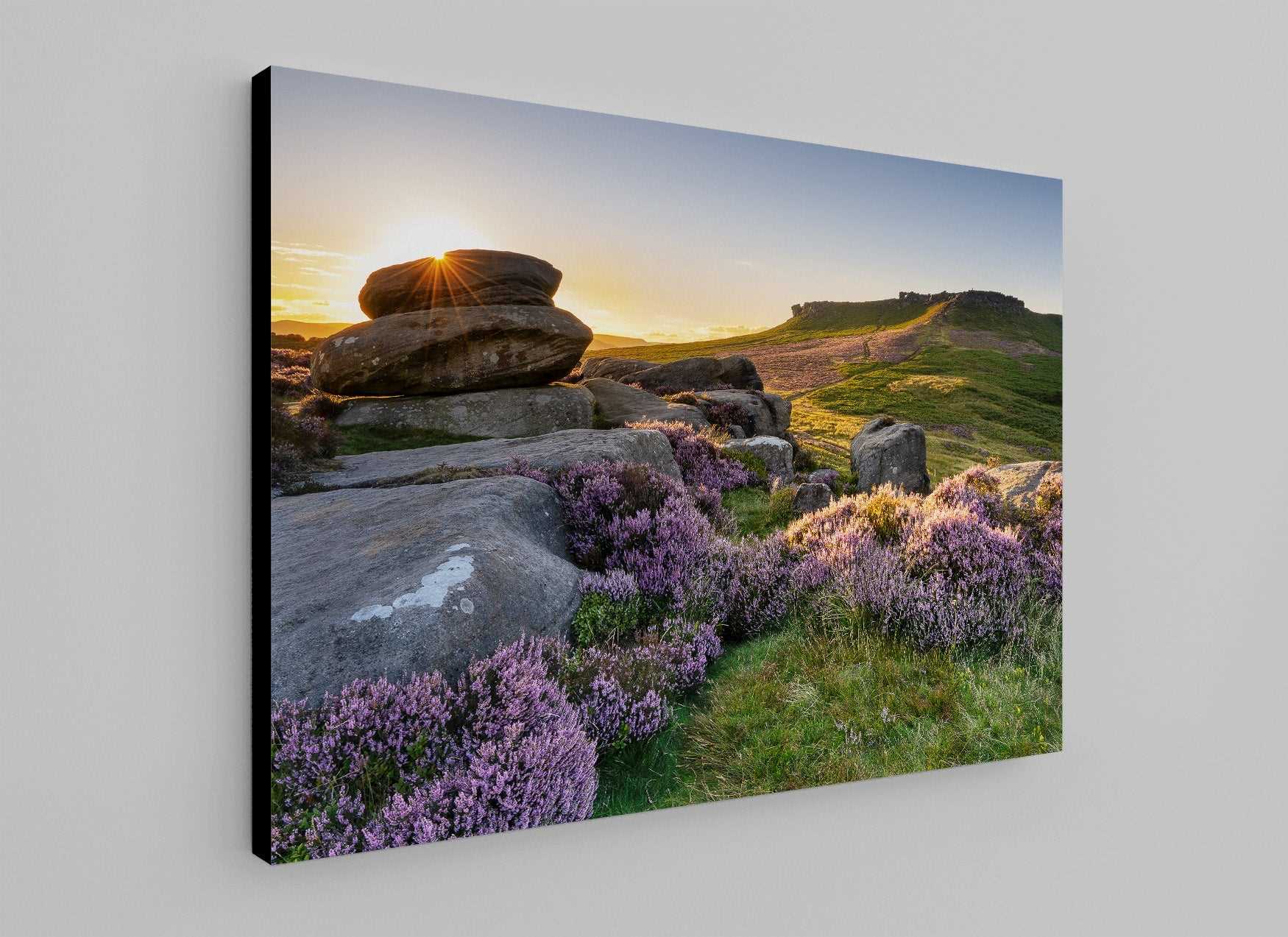 Heather in Bloom on Carl Wark - Phil Sproson Photography