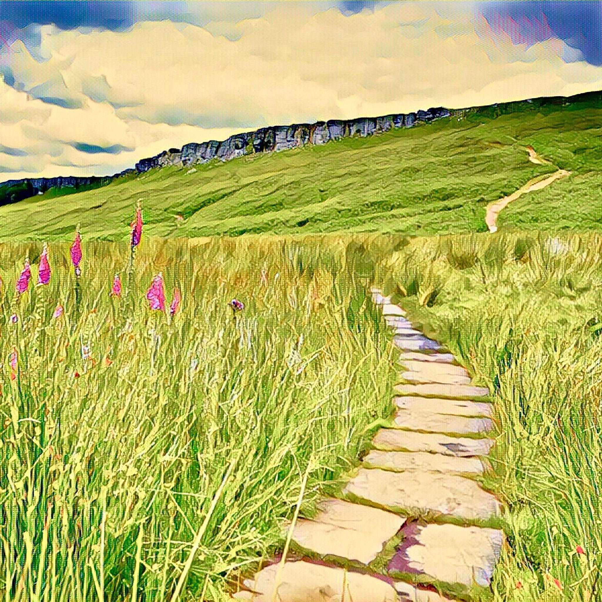 Stanage Path Art Print (10x10in Canvas) - Phil Sproson Photography