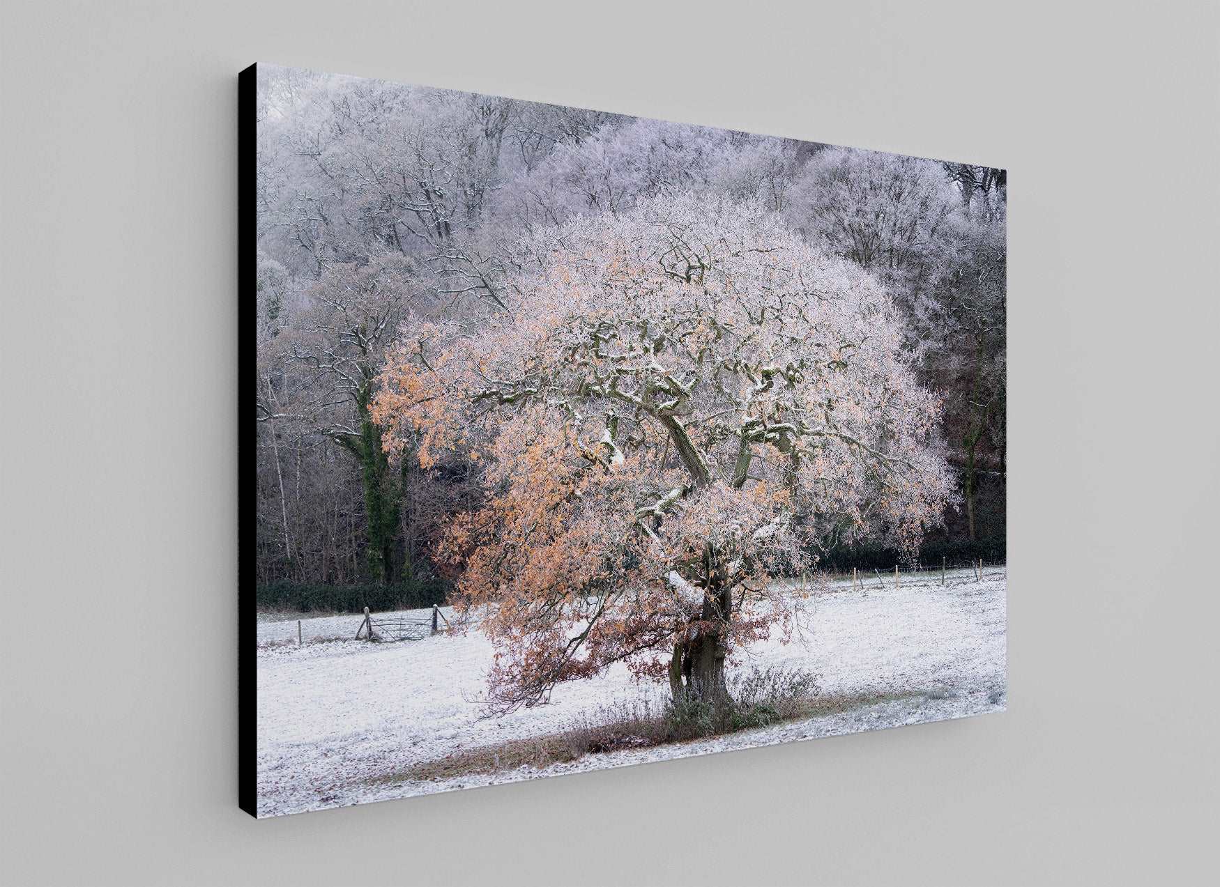 Still Standing - Phil Sproson Photography