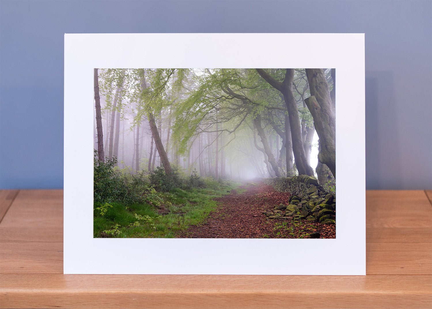 Upper Moor Beech Tree Avenue Print - Phil Sproson Photography
