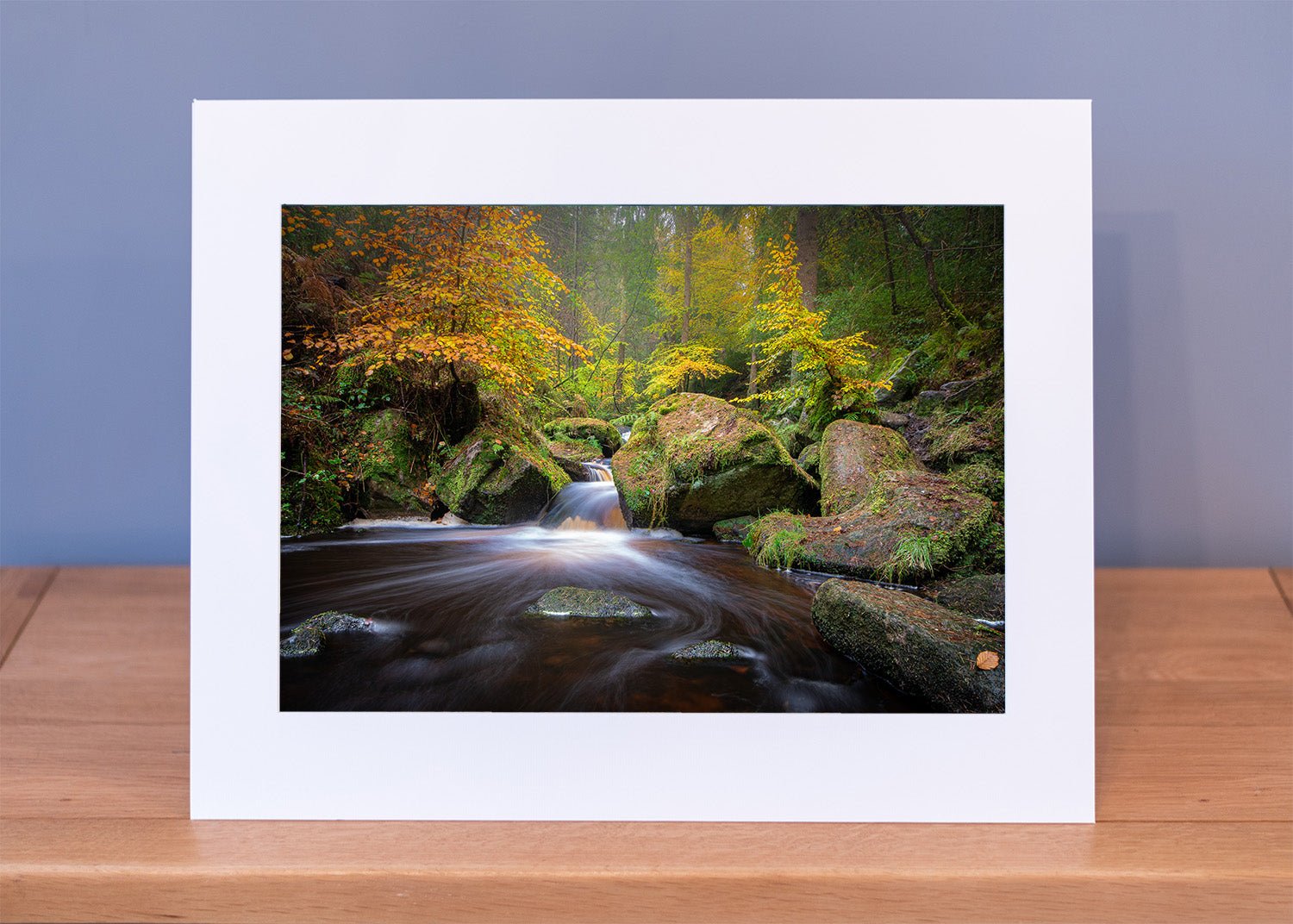 Wyming Brook in Autumn Print - Phil Sproson Photography