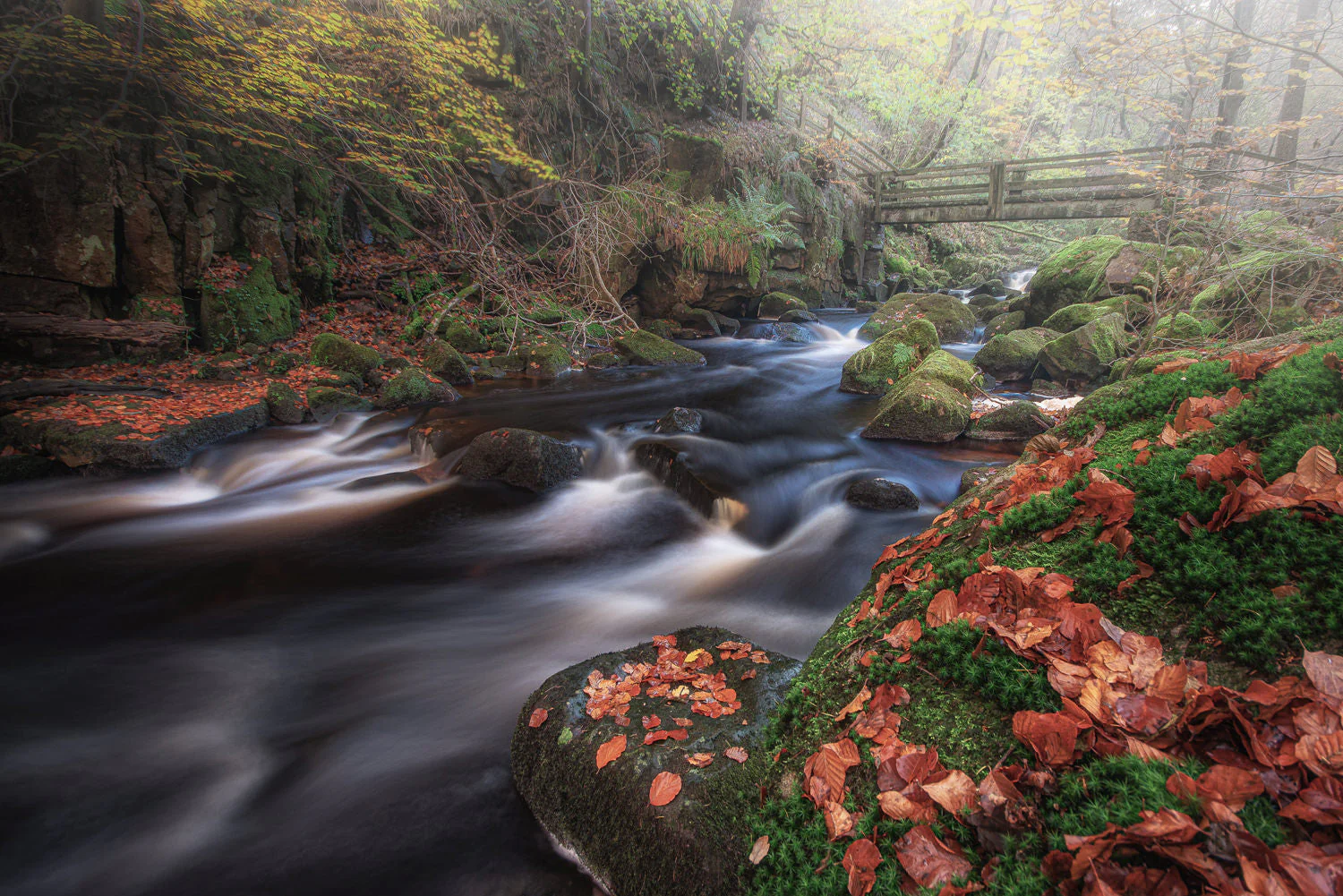 Peak District Walks
