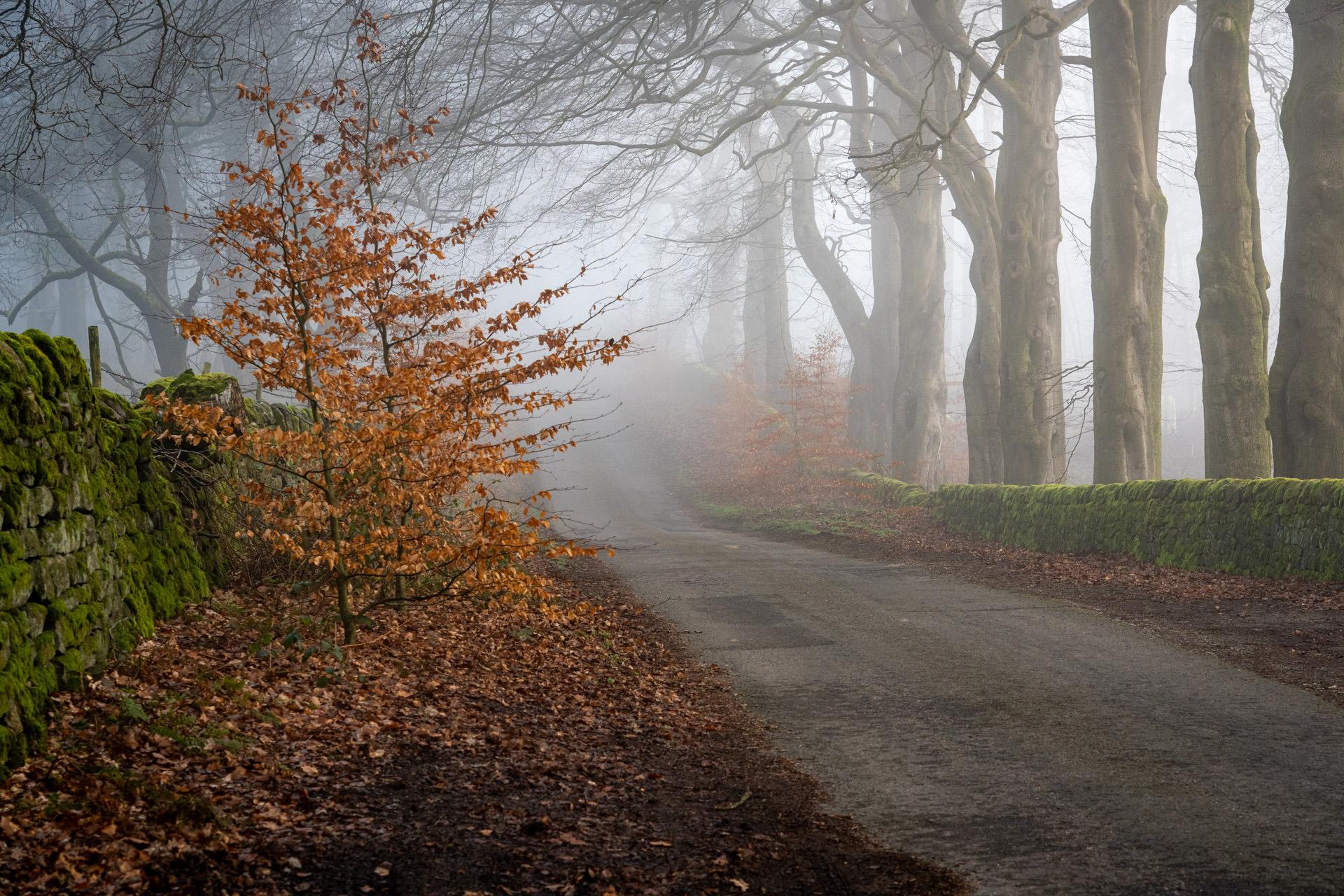 Peak District Calendar