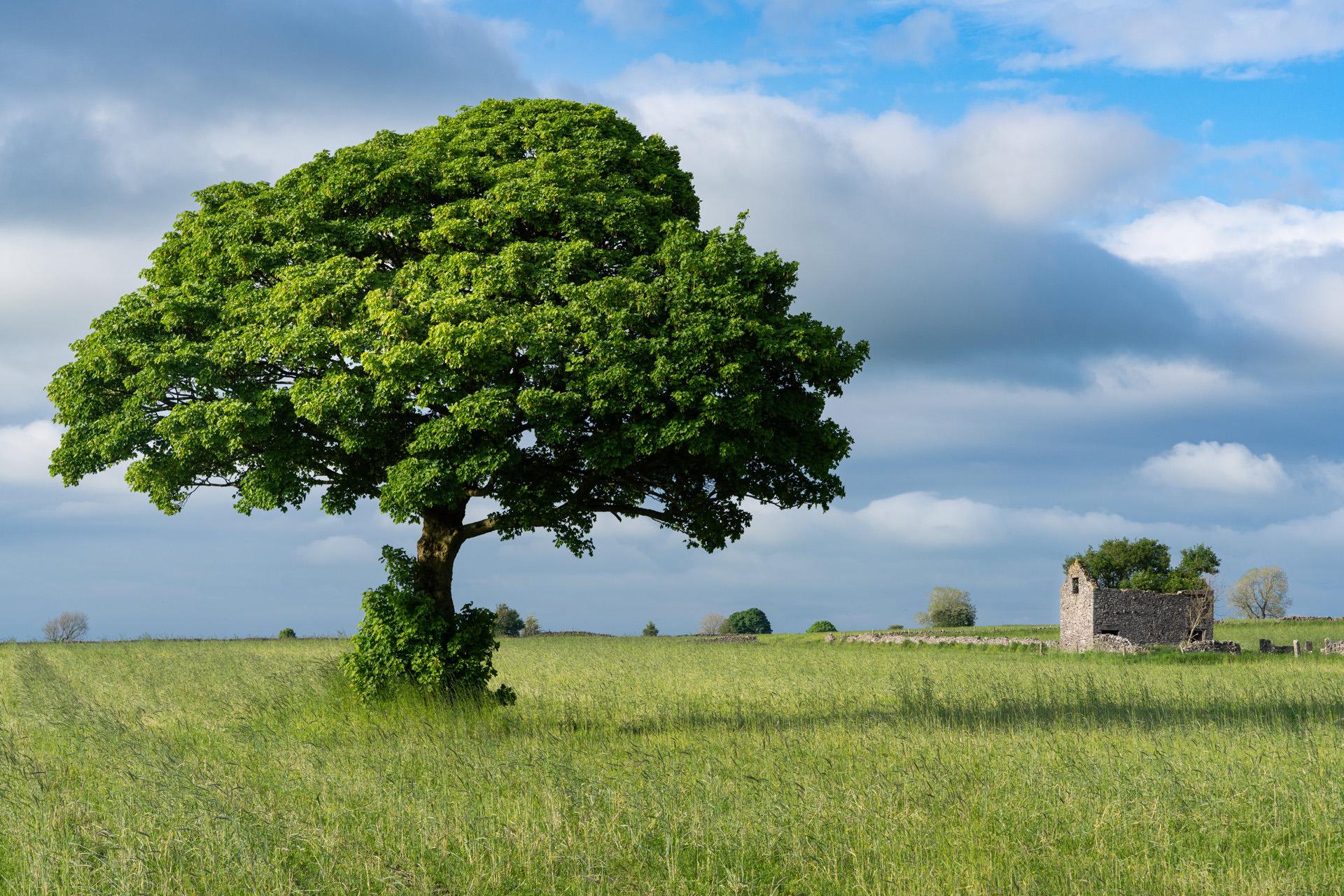 Peak District Calendar